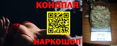 крисы Северобайкальск