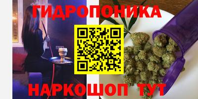 крисы Северобайкальск