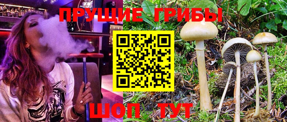 Псилоцибиновые грибы Морозовск