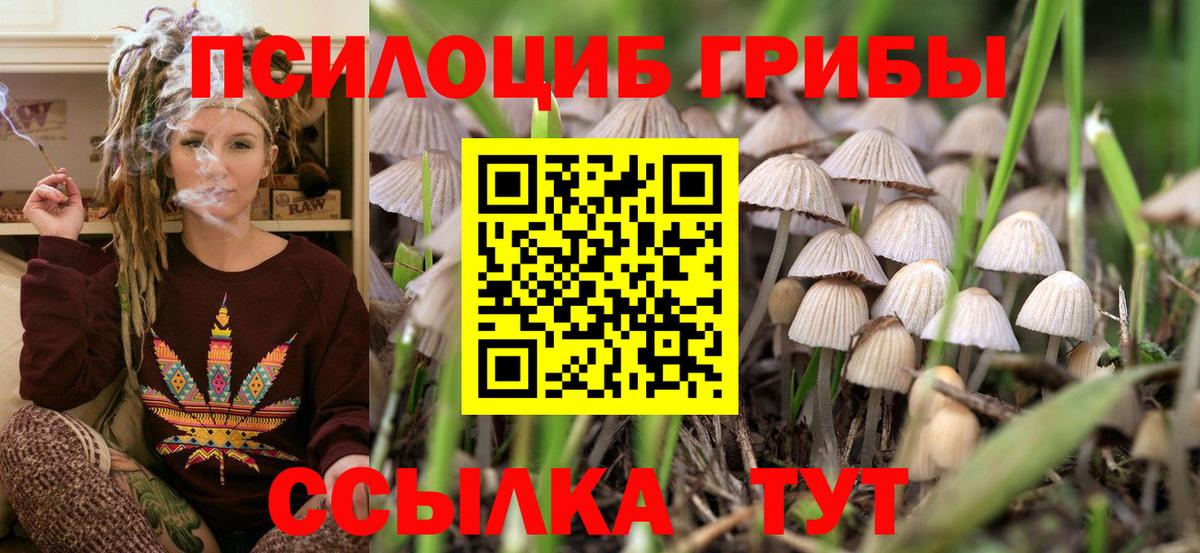 Псилоцибиновые грибы прущие грибы  Галлюциногенные грибы MAGIC MUSHROOMS  Морозовск 