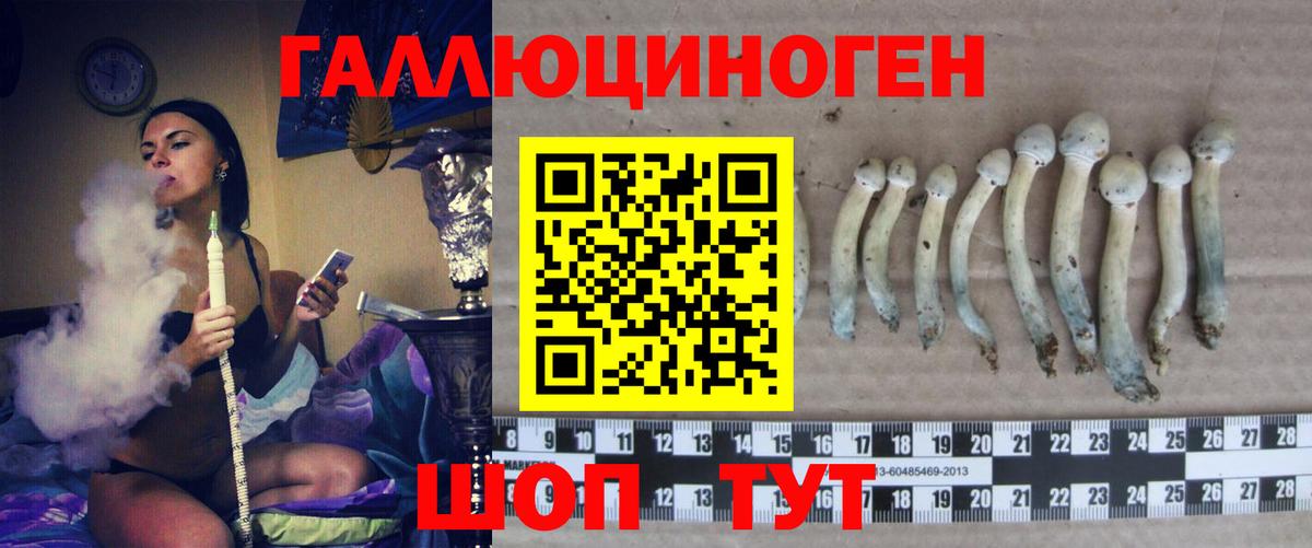 Псилоцибиновые грибы Magic Shrooms Морозовск