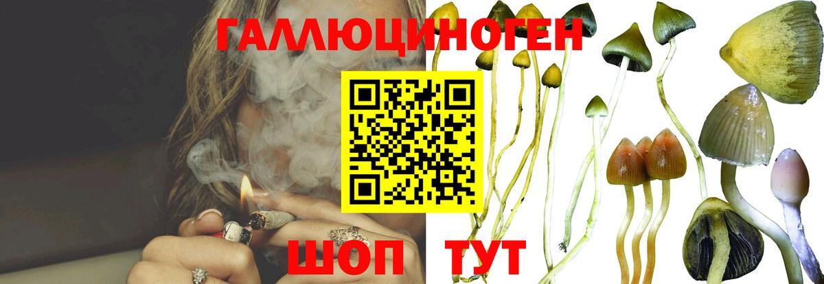 Галлюциногенные грибы MAGIC MUSHROOMS Морозовск